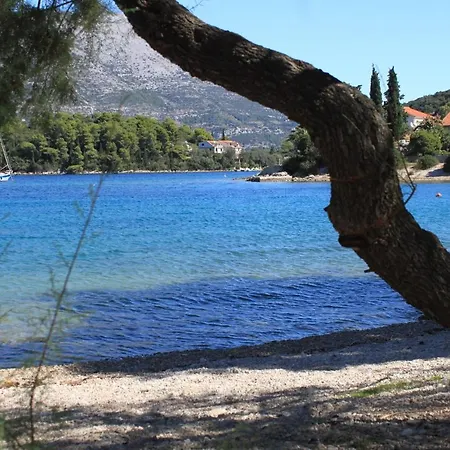 Apartamento Family-friendly With Swimming Pool Zrnovo, Korcula - 16116 Zrnovo