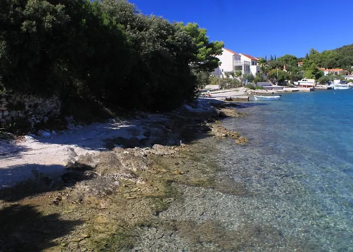 Family-friendly With Swimming Pool Zrnovo, Korcula - 16116 公寓